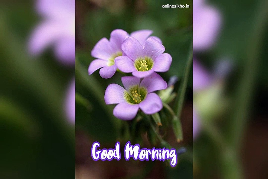 Good Morning Status 21 September | Beautiful Whatsapp Status | 21 September Status