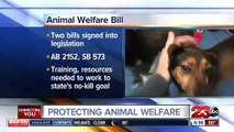 Newsom signs legislation requiring animals be microchipped prior to adoption