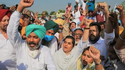 Watch: Congress opposes farm bills