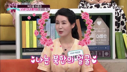 북한을 뒤흔든 ʚVVIP 해설꾼ɞ 안내 통역원↗