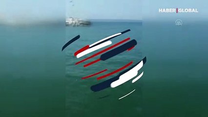 Akdeniz fokunun balık avı kamerada