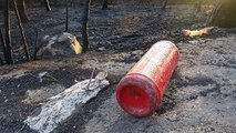 Ayvalık'ta 80 hektar ormanlık alan yandı; kara tablo sabah ortaya çıktı