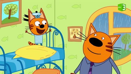 القطط تلعب الغميضة 