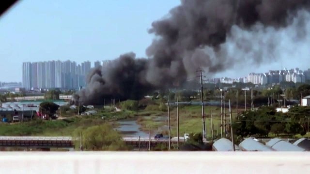 경기 고양시 백석동 비닐하우스에서 불... 다친 사람 없어 / YTN