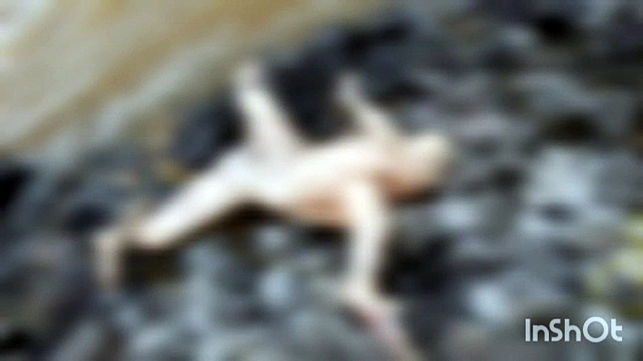 चंबल नदी के समीप बने डैम के पास पानी में अज्ञात व्यक्ति की लाश तैरती हुई मिली