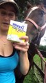 Horse Reacts to First Taste of Sugar Cubes