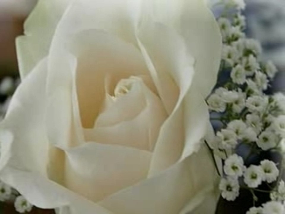 Stanislas le temps des roses