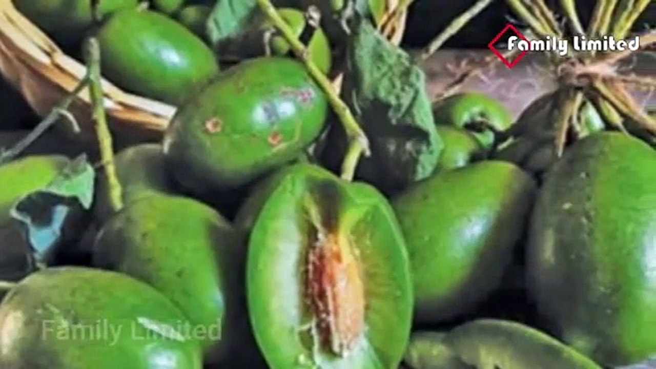 অপ্রয়োজনীয় ও খারাপ  কোলেস্টেরল শরীর থেকে দূর করবে যেসব খাবার !  রক্তের খারাপ কোলেস্টেরল দূর করার ঘরোয়া উপায় জেনে নিন  # AzadTechWorldPro   #