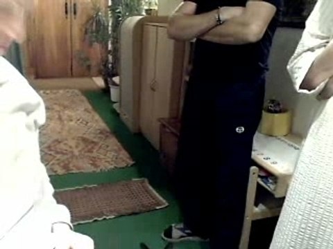 Mon chat et deux intrus