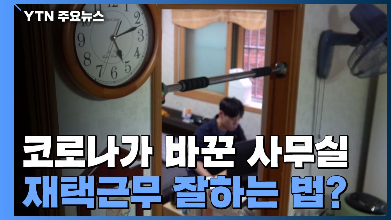 코로나가 바꾼 사무실의 혁명 '슬기로운 재택생활' / YTN