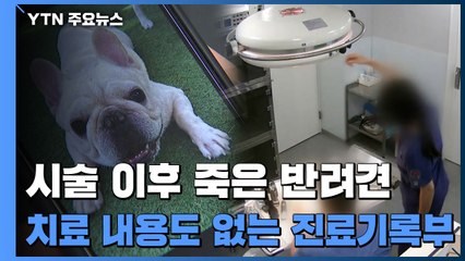 [제보는Y] 시술 이후 죽은 반려견..."치료 내용도 없는 진료기록부" / YTN