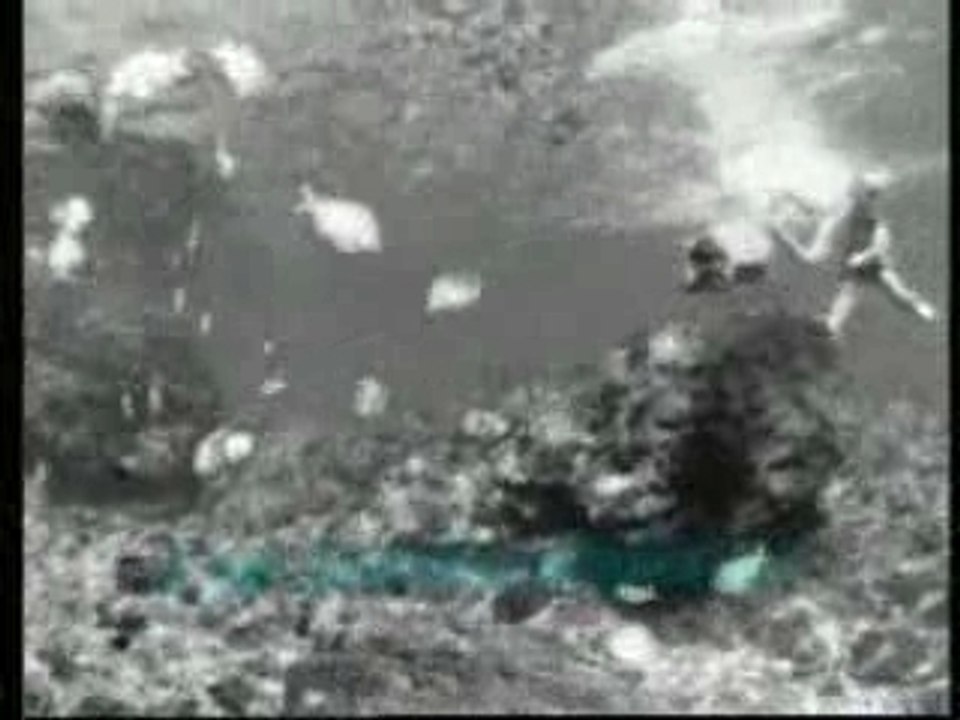 Eppure Soffia Liga Bue