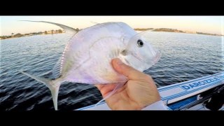 WEIRD Fish Caught Unexpectedly in Florida