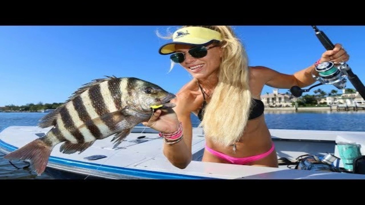 Florida Inshore Fishing for Sheepshead with LIVE Shrimp!
