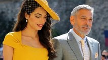 Amal Clooney hates George Clooney, decides to divorce when he forces to destroy