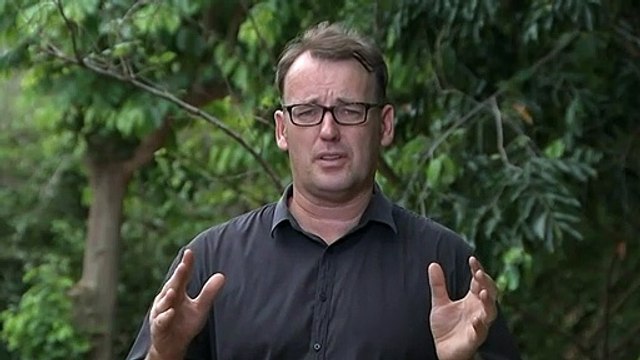 Stranded humpacks make it out of croc-infested river