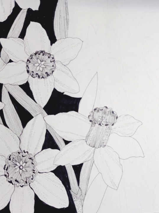 flower painting of daffodils
