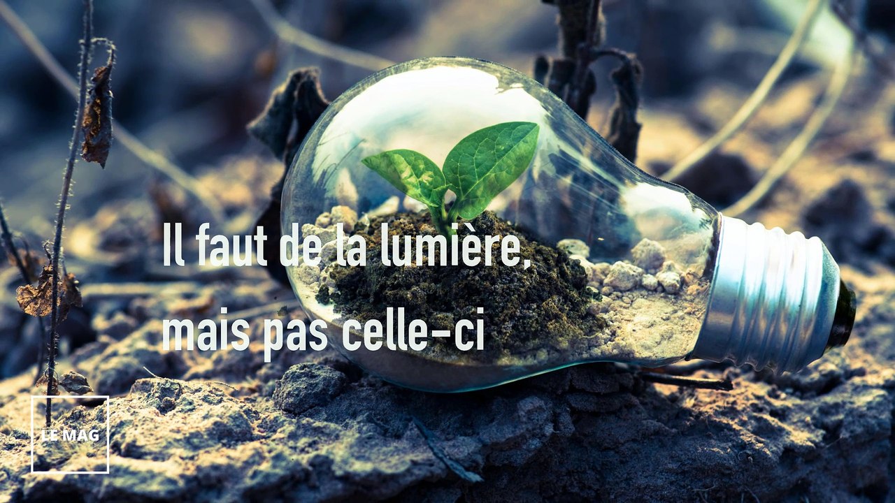 Clip environnement