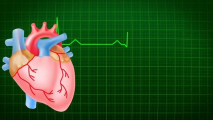 लड़कियों का दिल तेज़ क्यों धड़कता है? Why Girls Heart beat faster?