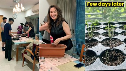 Madhuri Dixit Sets Up Kitchen Garden With Family