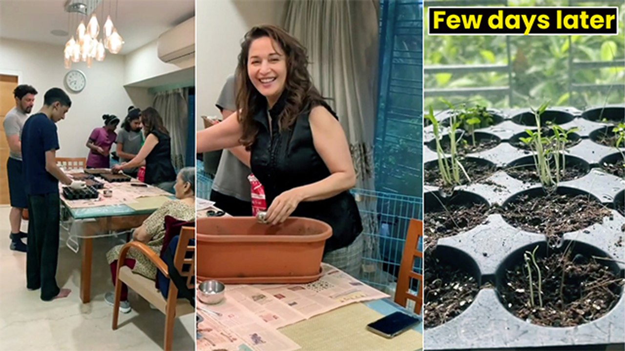 Watch: Madhuri Dixit Sets Up Kitchen Garden With Family