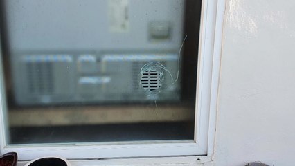 고라니 향해 쏜 총알, 주택으로 날아가 유리창 파손 / YTN