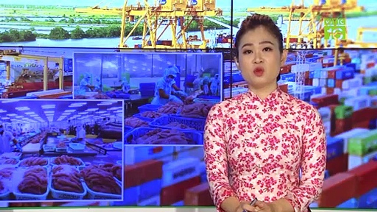 Nguồn cung khan hiếm, nuôi lươn giống thu trăm triệu | VTC16