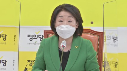 정의당 "이상직·김홍걸·박덕흠·윤창현 의원직 박탈해야" / YTN