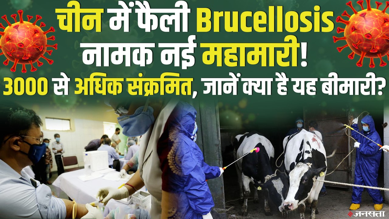 कोरोना के बाद चीन में फैल रही Brucellosis नामक बीमारी !, जाने कितना खतरनाक है यह वायरस