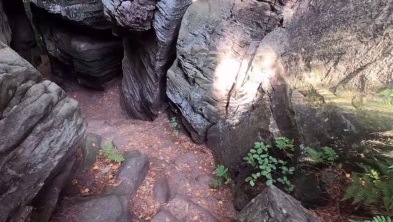Trailer Walk With Me