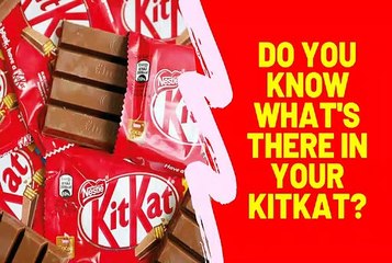 What's Inside Your KitKat? 🍫 Discover the Surprising Ingredients!