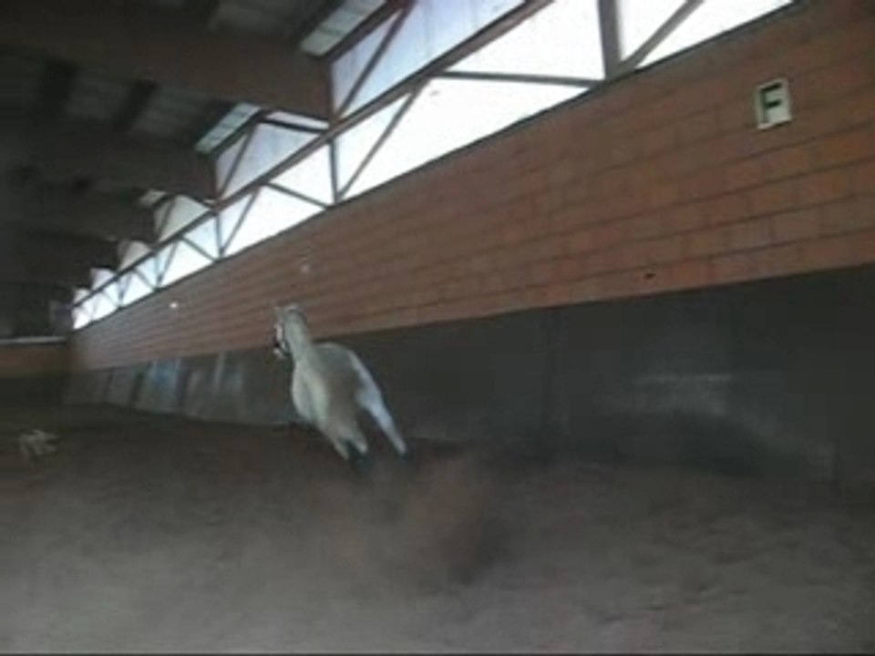 Video Douchka trop belle !