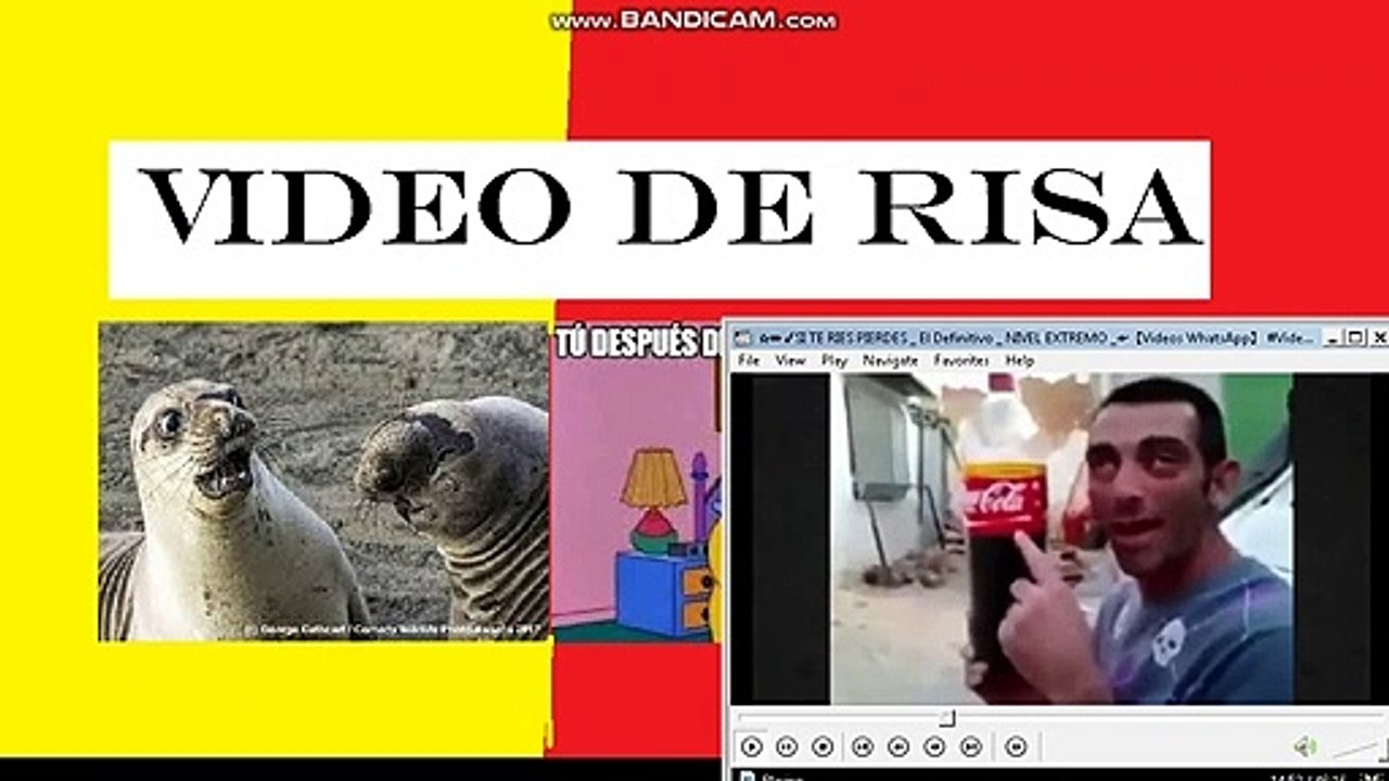 VIDEOS DE RISA 2020  | Nuevos y mas divertidos videos Videos Graciosos 2020 03