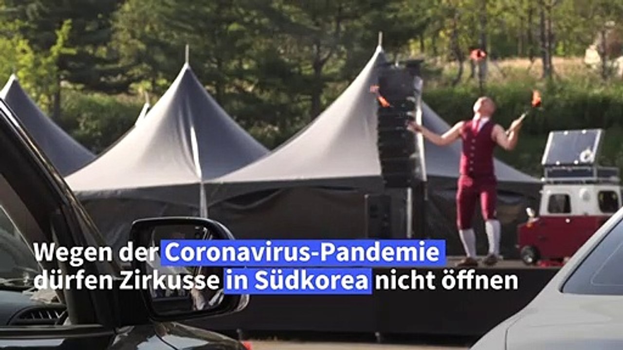 Mit dem Auto in den Zirkus