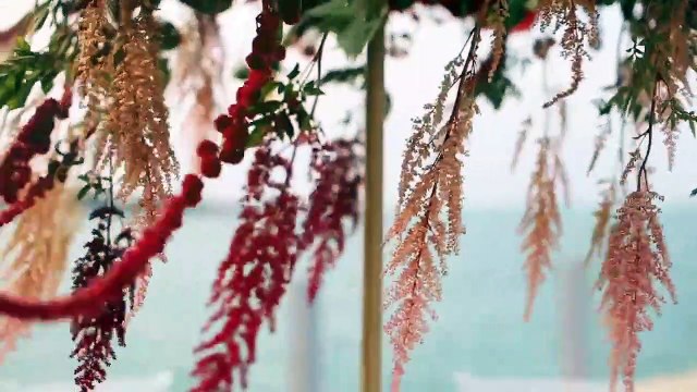 Zaya Nurai Island with Couture Events - Event Management Agency in Dubai