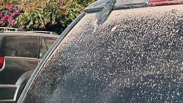 Seis provincias de Ecuador afectadas por ceniza volcánica