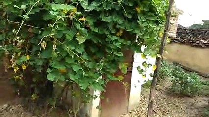 बुंदेलखंड के झांसी में ग्राम प्रधानों द्वारा बेची जा रही हैं सरकारी योजनायें