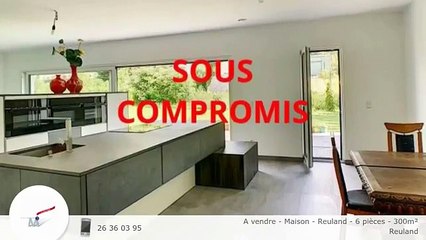 A vendre - Maison - Reuland - 6 pièces - 300m²