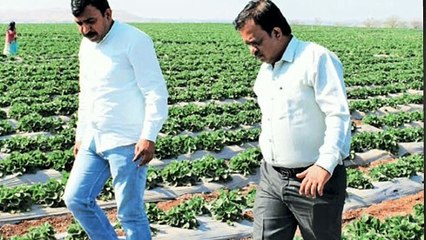 Bulletin Special: क्या है नया किसान बिल, क्यों छिड़ी है इस पर बहस