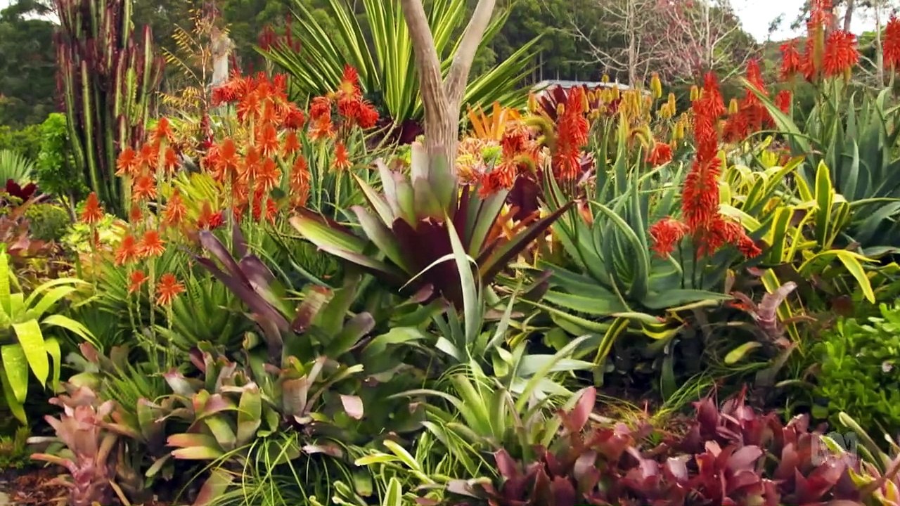 Gardening Australia episode 27 2020 - video Dailymotion