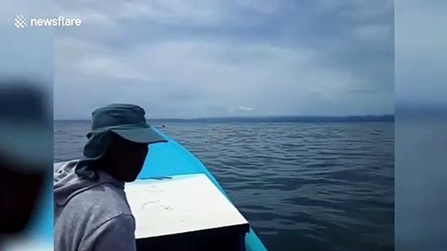 Indonesian man rescued after drifting at sea for three days clinging to an ice box off