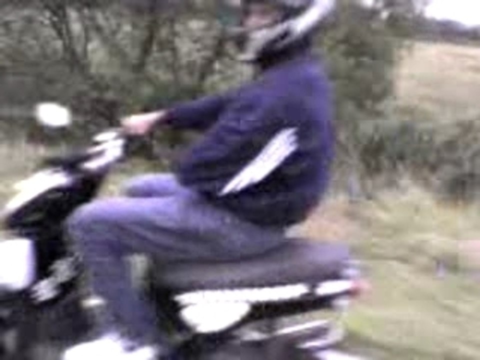 stunt a nico en weel