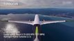 Airbus presentó los aviones del futuro: con hidrógeno y cero emisiones de CO2