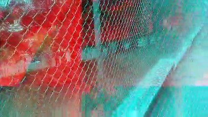 SESION #12  (PROD. KILLA ONE)