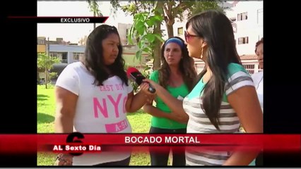 Bocado mortal: la guerra de los perros que se libra en el Rímac