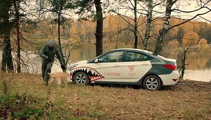 Гадалка (2 сезон: 1 серия из 16) / 2020