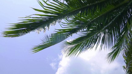 Andrew Callegari Demo Reel 2020