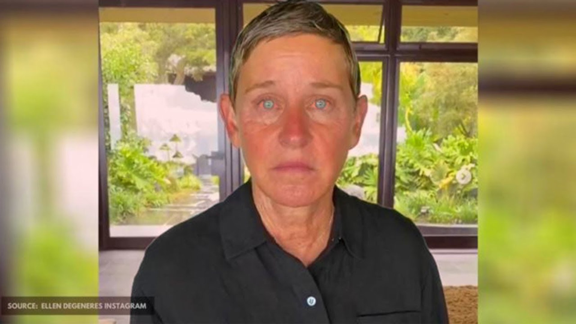 I'm Sorry- - Ellen DeGeneres Apology Video... - Vidéo Dailymotion