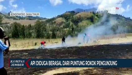 Karena Puntung Rokok, Padang Sabana Wisata Kawah Wurung Terbakar
