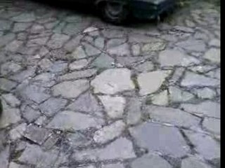 rupture hornet avec un yosh